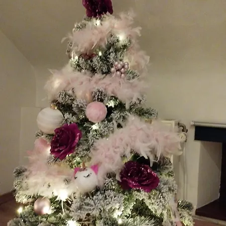 Lacs De L'eau D'heure Chez Oma * Серфонтен